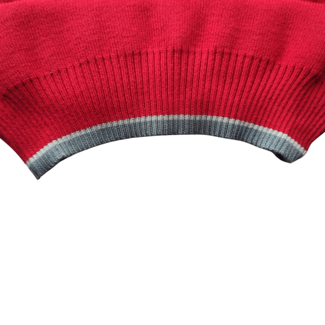 NUEVO Sweater Darío Salas Talca