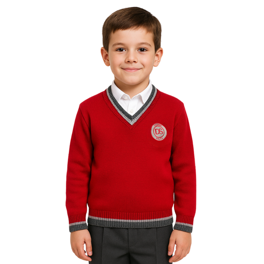 NUEVO Sweater Darío Salas Talca