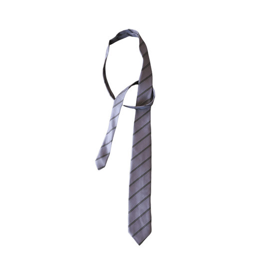 Corbata Abate Molina Talca